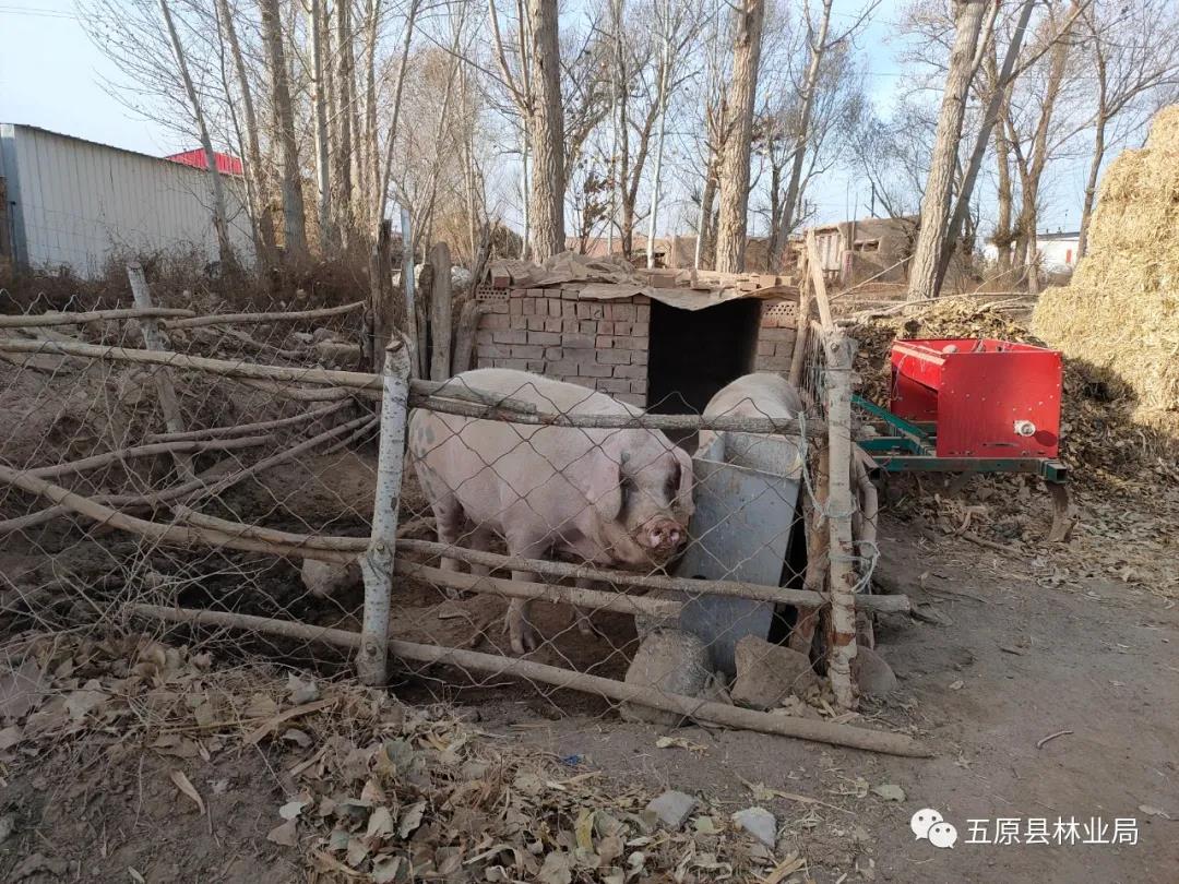 微信图片_20211202174343.jpg