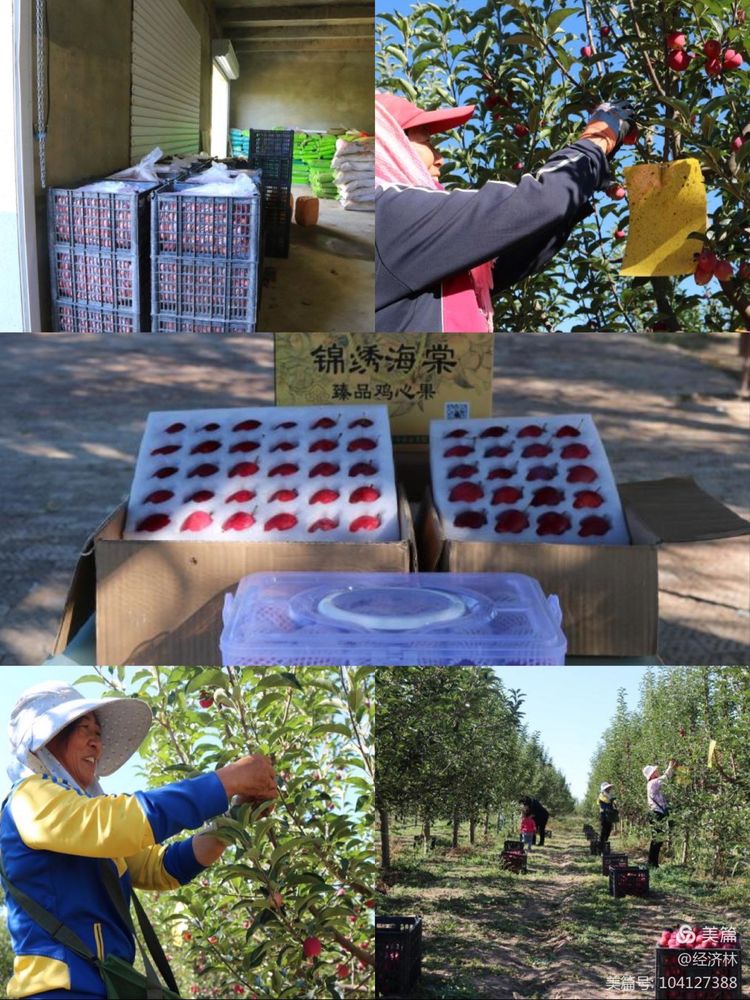 微信图片_20211203105331.jpg
