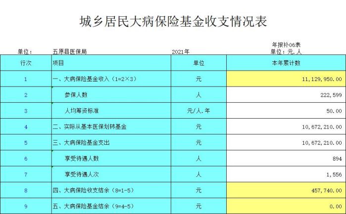 城乡居民大病保险基金收支情况表.jpg