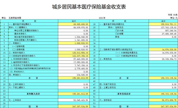 城乡居民基本医疗保险基金收支表.jpg