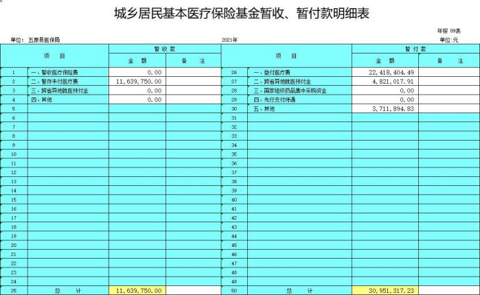 城乡居民基本医疗保险基金暂收、暂付款明细表.jpg