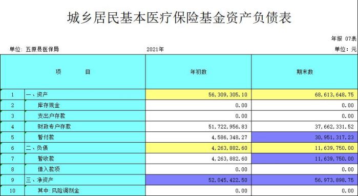 城乡居民基本医疗保险基金资产负债表.jpg