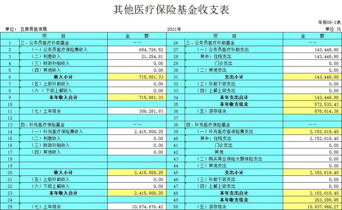 其他医疗保险基金收支表2.jpg