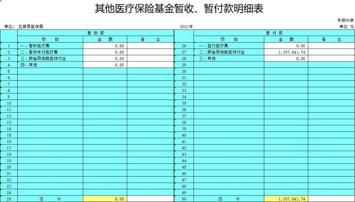 其他医疗保险基金暂收、暂付款明细表.jpg