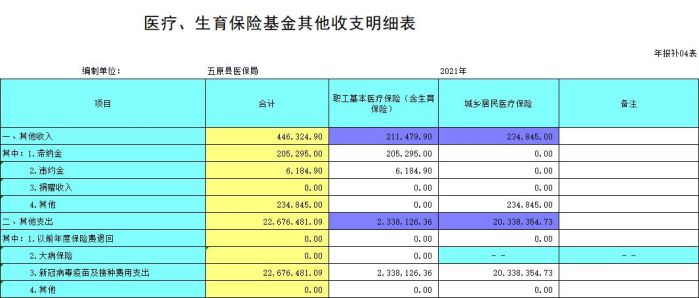 医疗、生育保险基金其他收支明细表.jpg