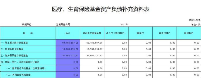 医疗、生育保险基金资产负债补充资料表.jpg