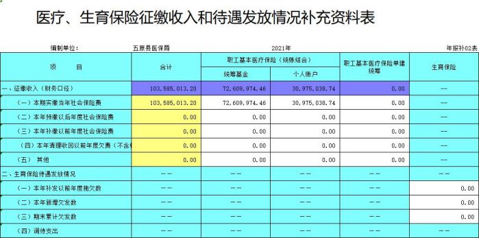 医疗、生育保险征缴收入和待遇发放情况补充资料表.jpg