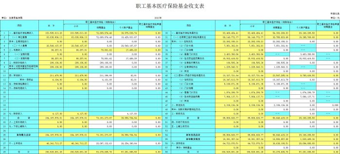 职工基本医疗保险基金收支表.jpg