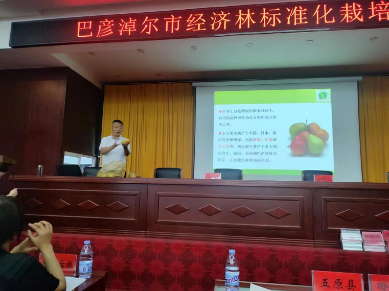 图片3.png
